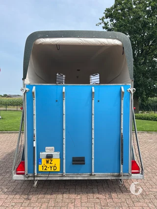 WESTTRAILERS PT165 2-paards paardentrailer Foto 7