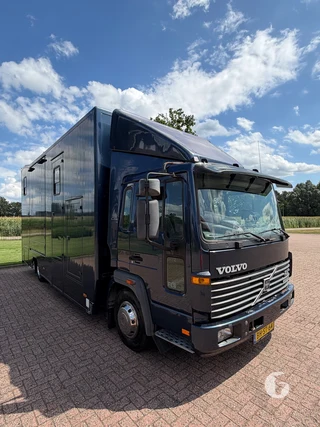VOLVO FL608-42R-8.6T 2-paards paardenvrachtwagen Photo 4