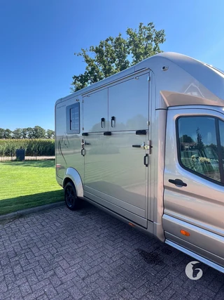 STX Ford 2-paards paardenwagen Photo 4
