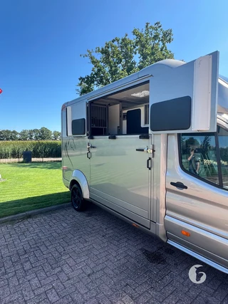 STX Ford 2-paards paardenwagen Photo 6