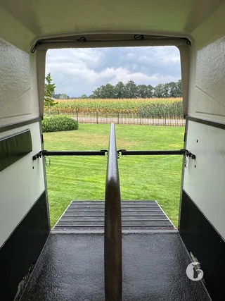 WEIJER W2000F 2-paards paardentrailer Foto 9