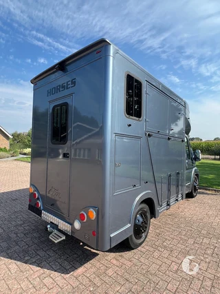 Citroën 2-paards paardenwagen Foto 9