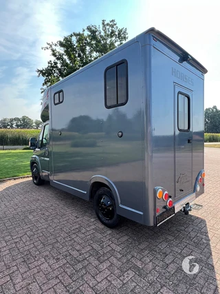 Citroën 2-paards paardenwagen Foto 10