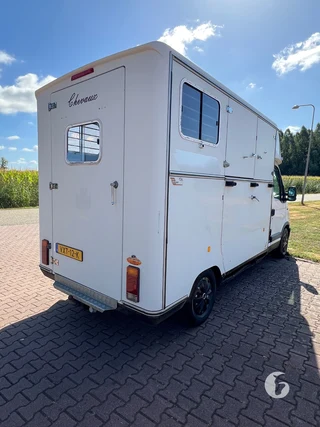 RENAULT 2-paards paardenwagen Foto 9