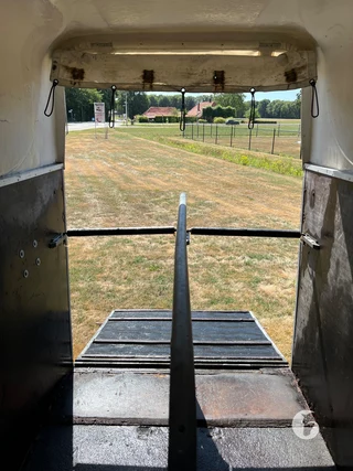 IMPEX BP 2000 2-paards paardentrailer Photo 10