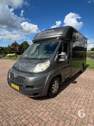 PEUGEOT BOXER 2-paards paardenwagen