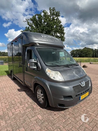 PEUGEOT BOXER 2-paards paardenwagen Foto 5