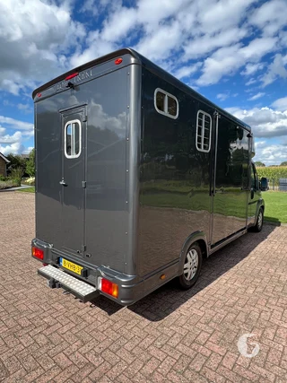 PEUGEOT BOXER 2-paards paardenwagen Foto 9