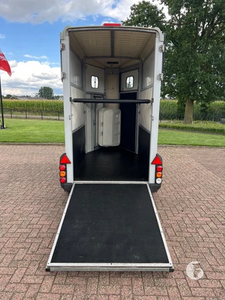 Ifor Williams 1,5-paards paardentrailer Photo 8