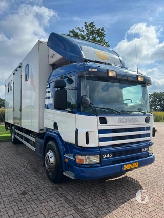 SCANIA P 94 DB 4X2 NB 230 2-paards paardenvrachtwagen Foto 5