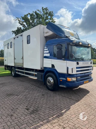 SCANIA P 94 DB 4X2 NB 230 2-paards paardenvrachtwagen Foto 6