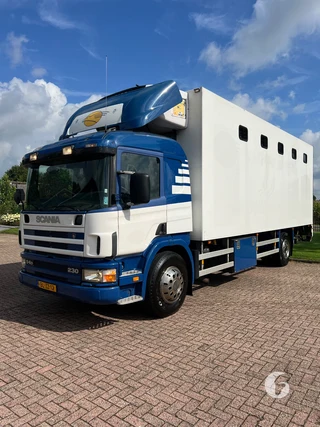 SCANIA P 94 DB 4X2 NB 230 2-paards paardenvrachtwagen Foto 3