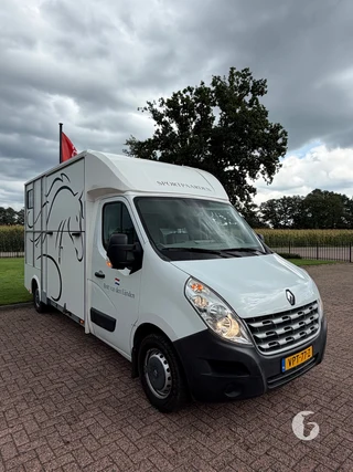 RENAULT MASTER 2-paards paardenwagen Photo 4