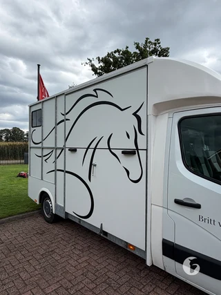 RENAULT MASTER 2-paards paardenwagen Photo 5