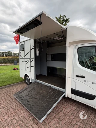 RENAULT MASTER 2-paards paardenwagen Photo 6