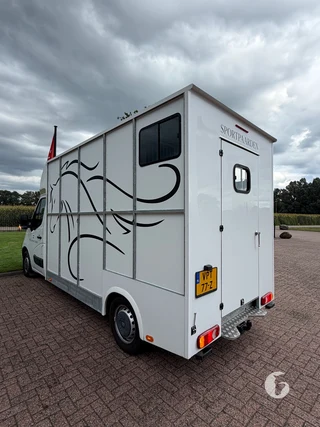 RENAULT MASTER 2-paards paardenwagen Photo 9