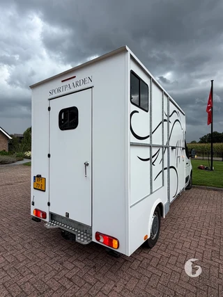 RENAULT MASTER 2-paards paardenwagen Photo 10