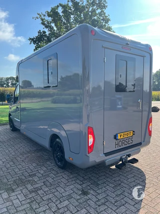 STX MASTER HORSEBOX 2-paards paardenwagen Photo 11