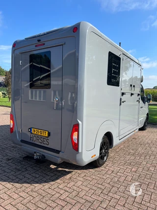 STX MASTER HORSEBOX 2-paards paardenwagen Photo 12