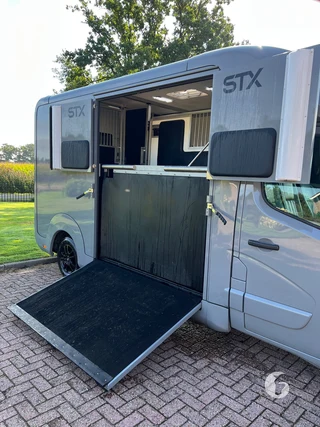STX MASTER HORSEBOX 2-paards paardenwagen Photo 7