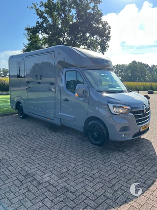 STX MASTER HORSEBOX 2-paards paardenwagen Photo 4