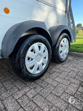 Böckmann P10 1,5-paards paardentrailer Photo 10