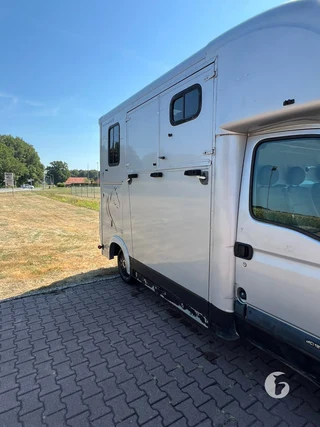 RENAULT MASTER 2-paards paardenwagen Photo 5