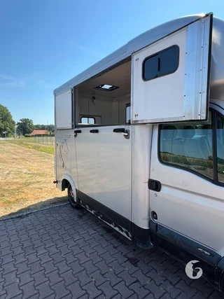 RENAULT MASTER 2-paards paardenwagen Photo 6