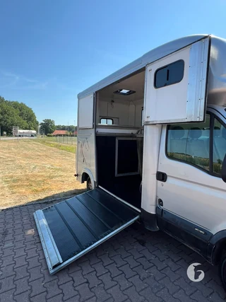 RENAULT MASTER 2-paards paardenwagen Photo 7
