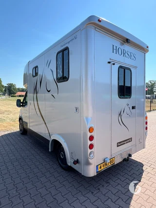 RENAULT MASTER 2-paards paardenwagen Photo 10