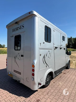 RENAULT MASTER 2-paards paardenwagen Photo 11