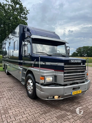 BEERS SCANIA T3M 6X2 AL 75178 2-paards paardenvrachtwagen Foto 4
