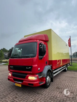 DAF AE55CF 2-paards paardenvrachtwagen
