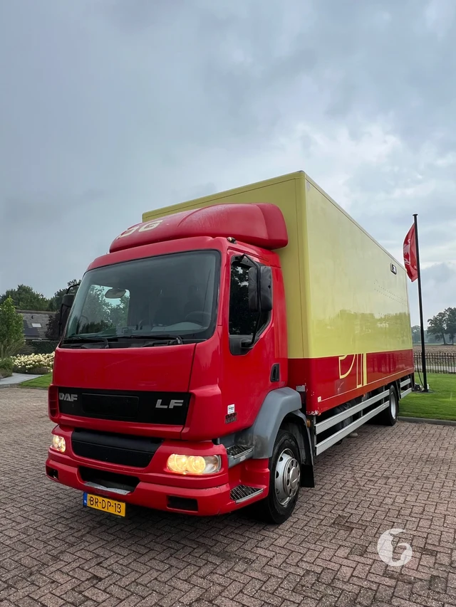 DAF AE55CF 2-paards paardenvrachtwagen