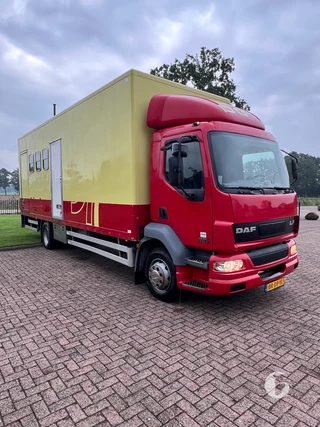 DAF AE55CF 2-paards paardenvrachtwagen Foto 4