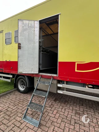 DAF AE55CF 2-paards paardenvrachtwagen Foto 6