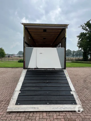 DAF AE55CF 2-paards paardenvrachtwagen Foto 12