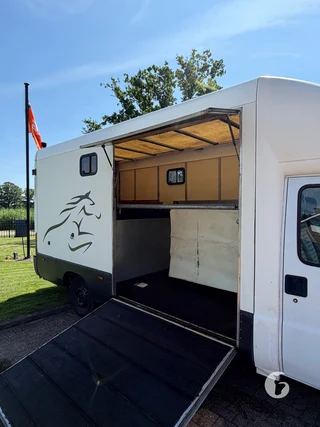 FIAT DUCATO 2-paards paardenwagen Photo 3
