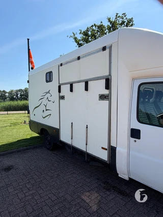 FIAT DUCATO 2-paards paardenwagen Photo 4