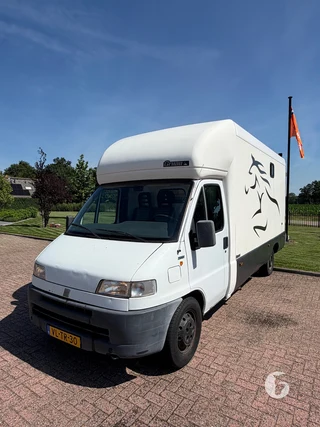 FIAT DUCATO 2-paards paardenwagen Photo 5