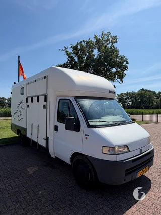 FIAT DUCATO 2-paards paardenwagen Photo 6