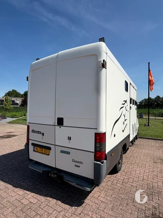 FIAT DUCATO 2-paards paardenwagen Photo 9