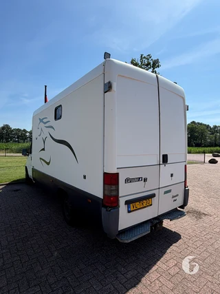 FIAT DUCATO 2-paards paardenwagen Photo 11
