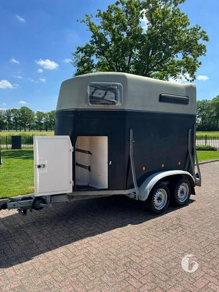 Böckmann 1,5-paards paardentrailer Foto 3