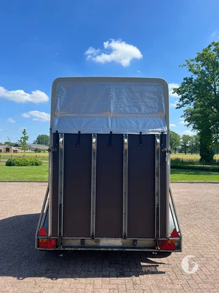 Böckmann 1,5-paards paardentrailer Foto 5