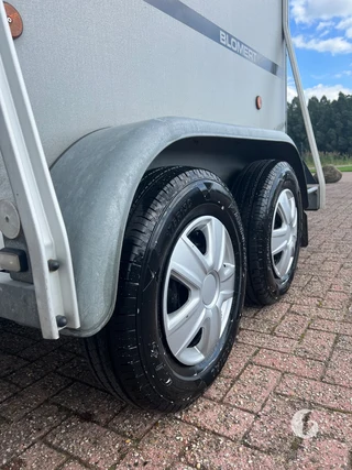 BLOMERT T1 1,5-paards paardentrailer