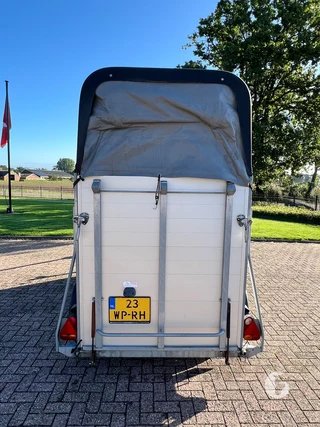 Cheval Liberté GOLD ONE 1,5-paards paardentrailer foto 8