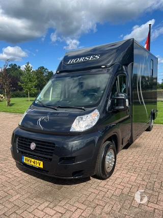 FIAT DUCATO 2-paards paardenwagen