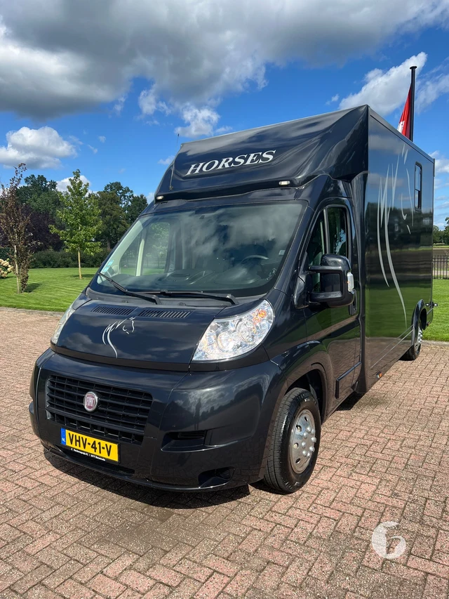 FIAT DUCATO 2-paards paardenwagen