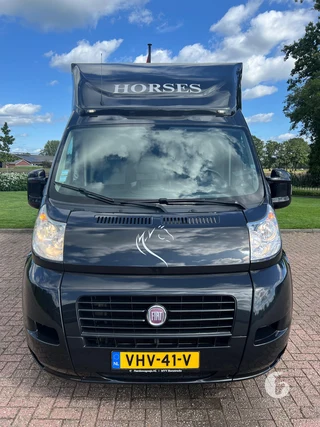 FIAT DUCATO 2-paards paardenwagen foto 3